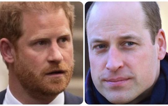 La telefonata tra Harry e William