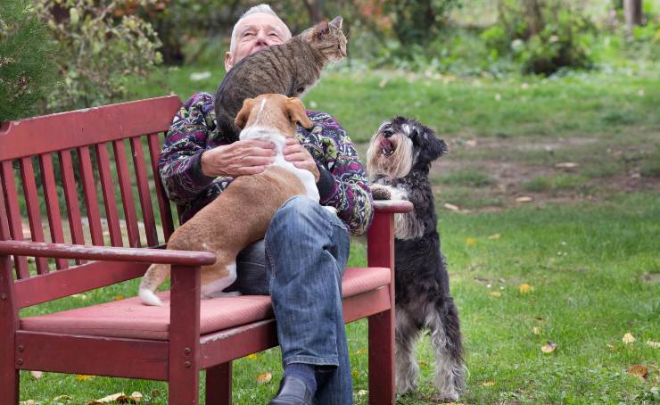 Anziano con i suoi animali - Lineadiretta24.it