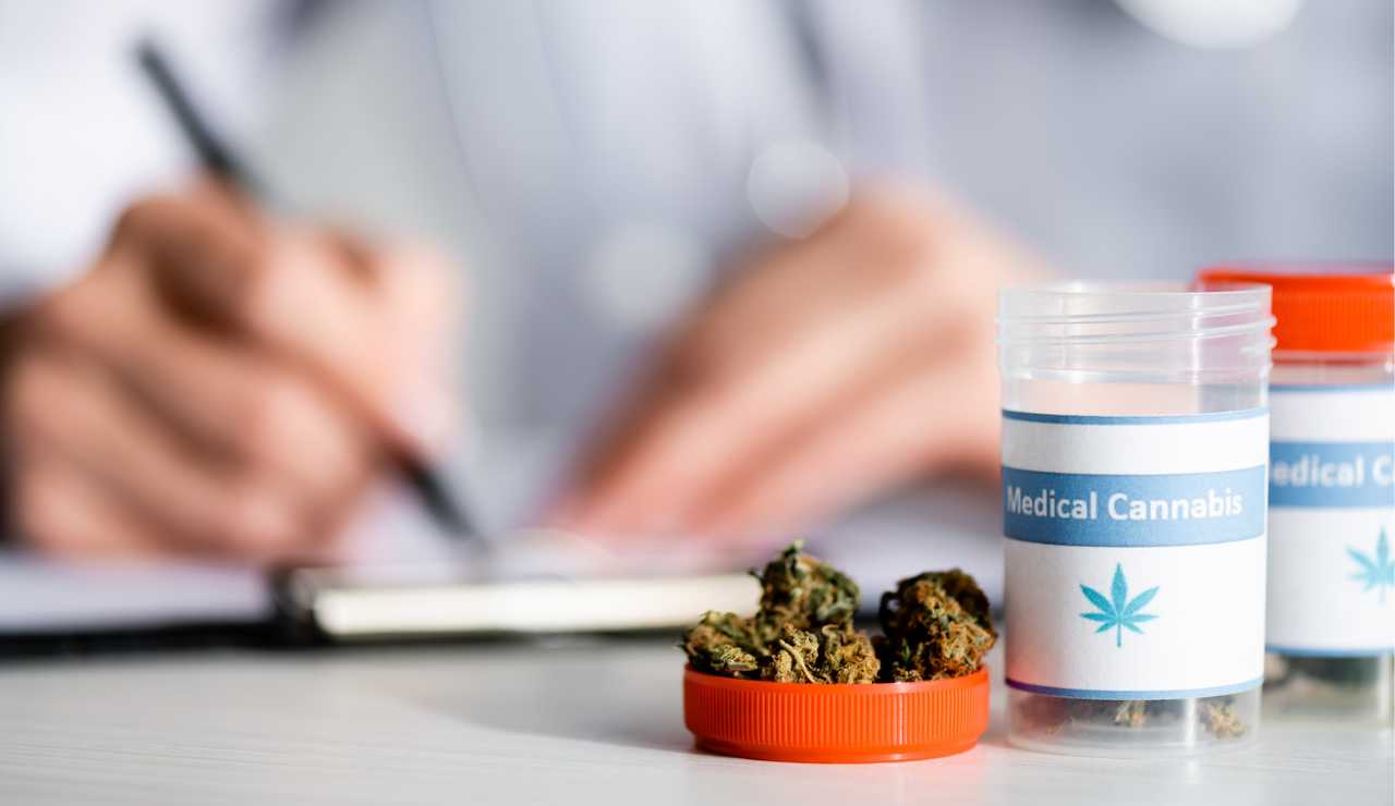 Cannabis terapeutica come richiederla - Lineadiretta24.it