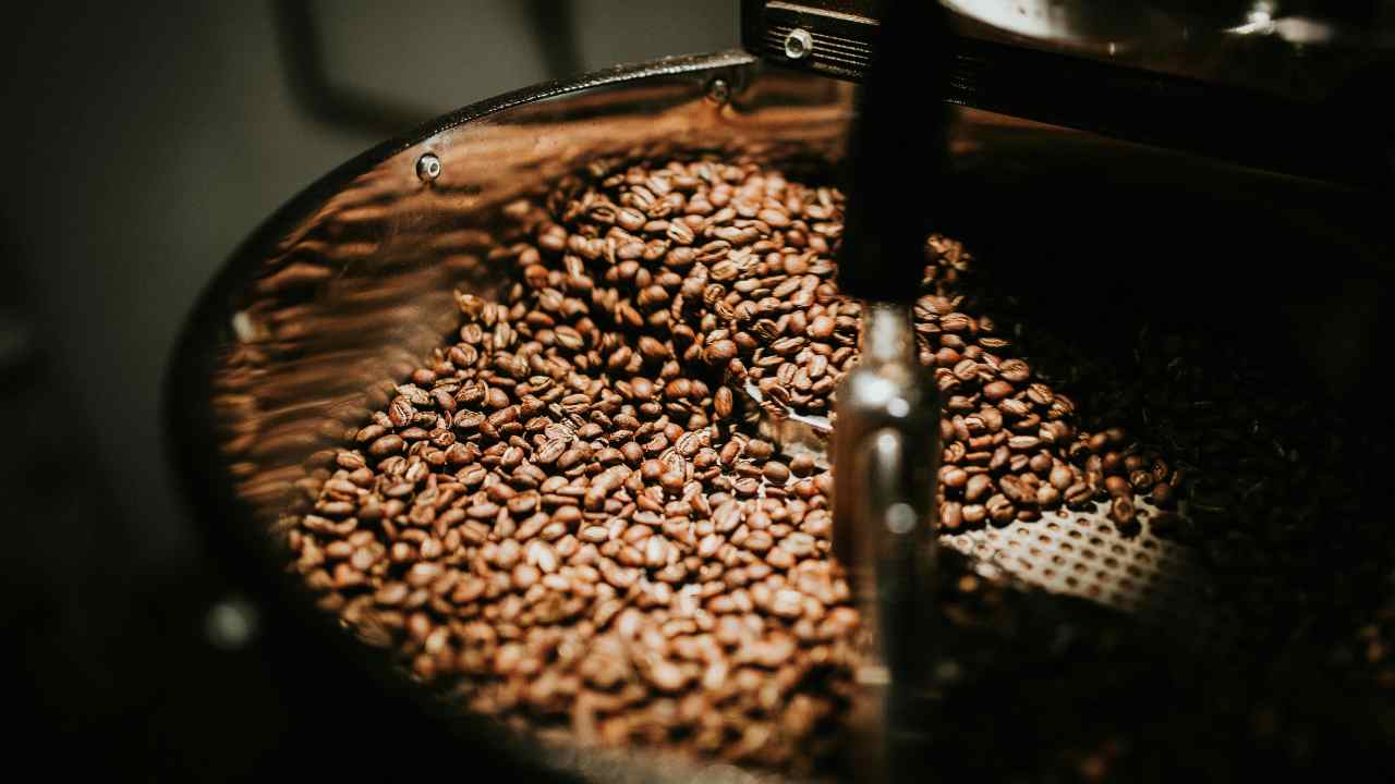 Caffè arabica in pericolo (pexels.com) - lineadiretta24.it