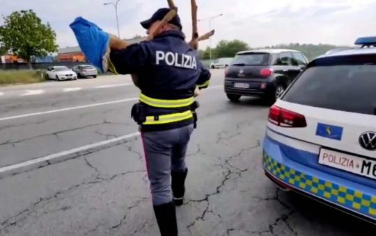 Polizia stradale, multa per una manovra (ANSAfoto) - lineadiretta24.itPolizia stradale, multa per una manovra (ANSAfoto) - lineadiretta24.it