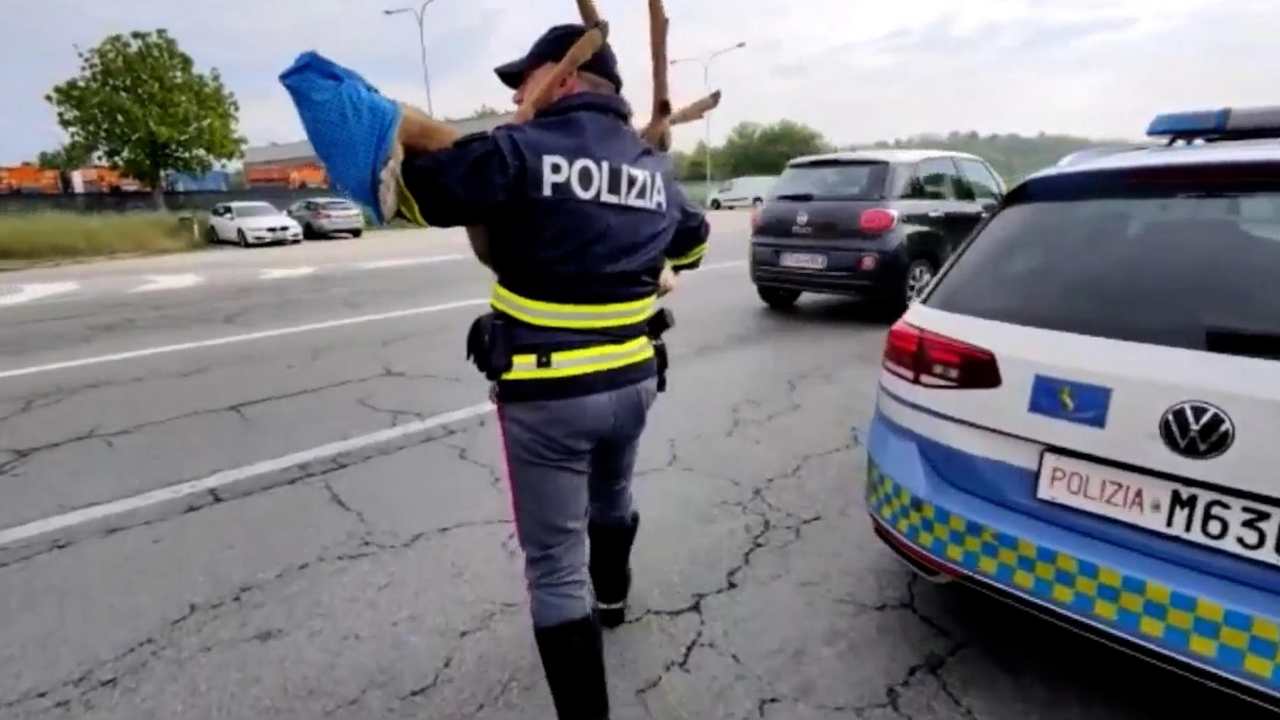 Polizia stradale, multa per una manovra (ANSAfoto) - lineadiretta24.itPolizia stradale, multa per una manovra (ANSAfoto) - lineadiretta24.it