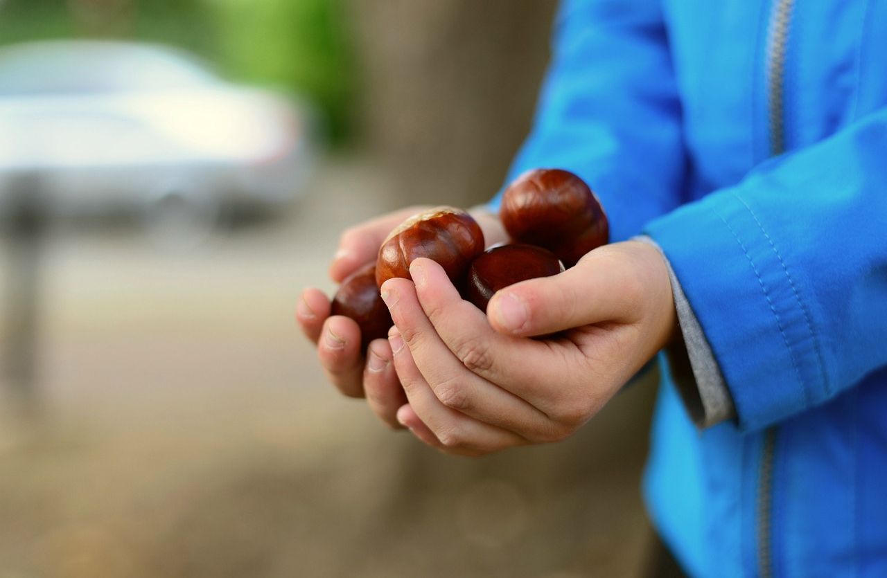 castagne