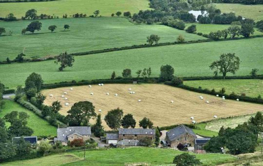 terreno agricolo investimento