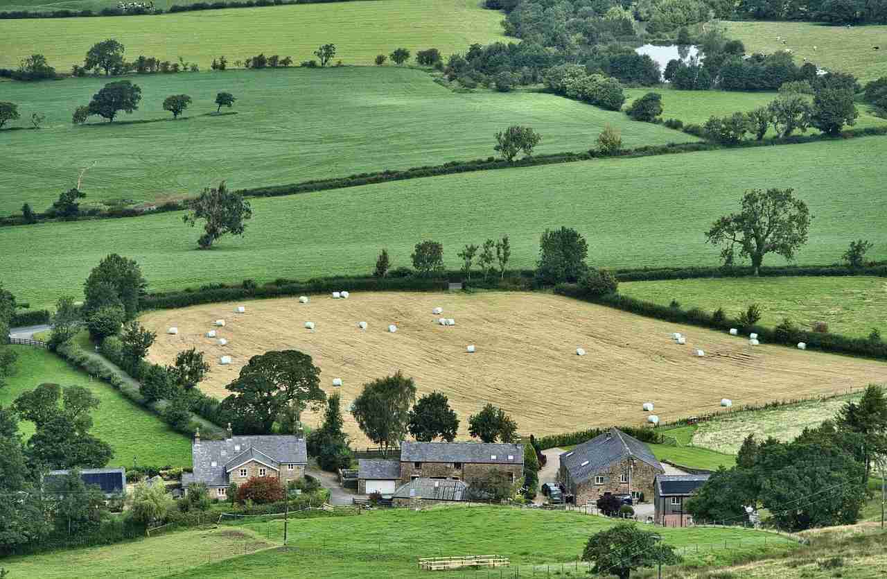 terreno agricolo investimento