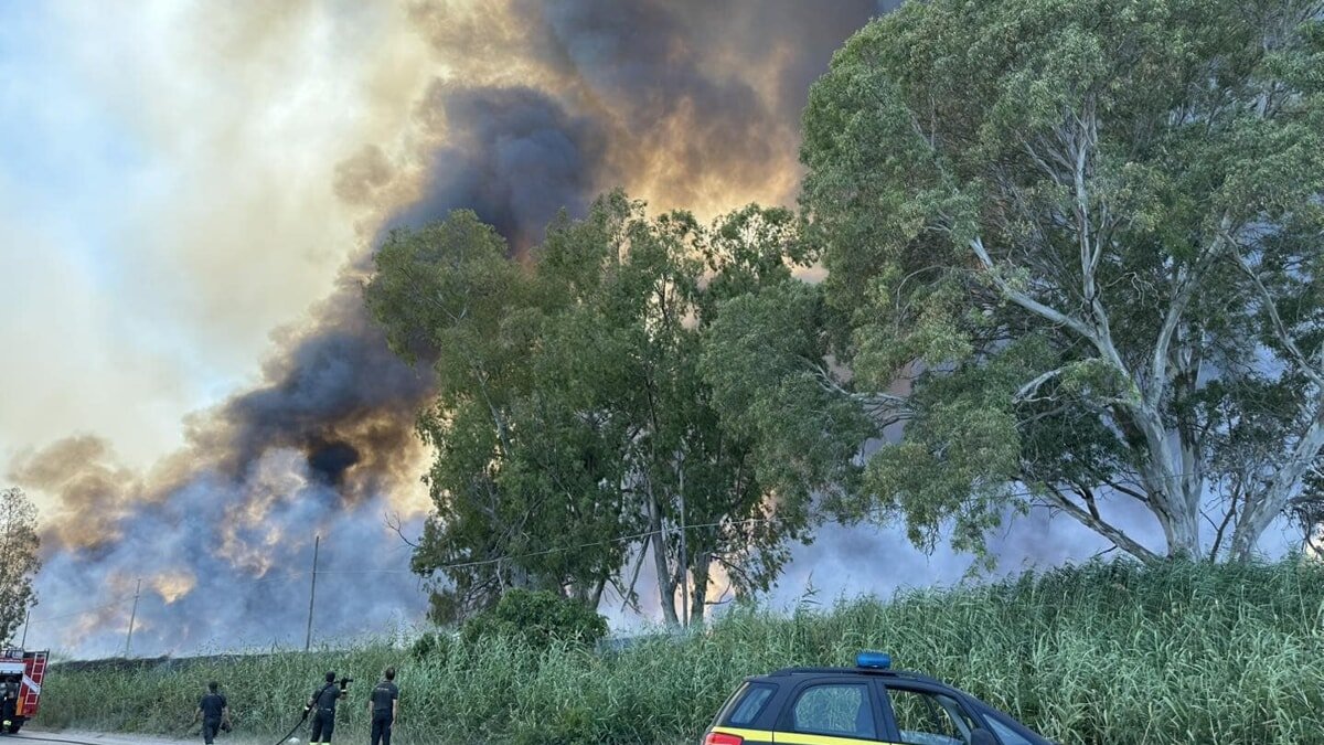 Incendi, l’allarme di Legambiente: in Puglia oltre 8mila ettari bruciati nel 2025