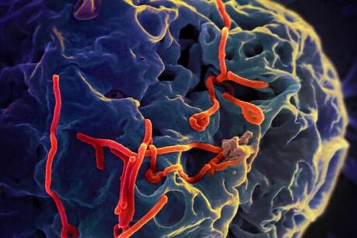 Vaccino sperimentale contro Ebola al via in Congo e Uganda