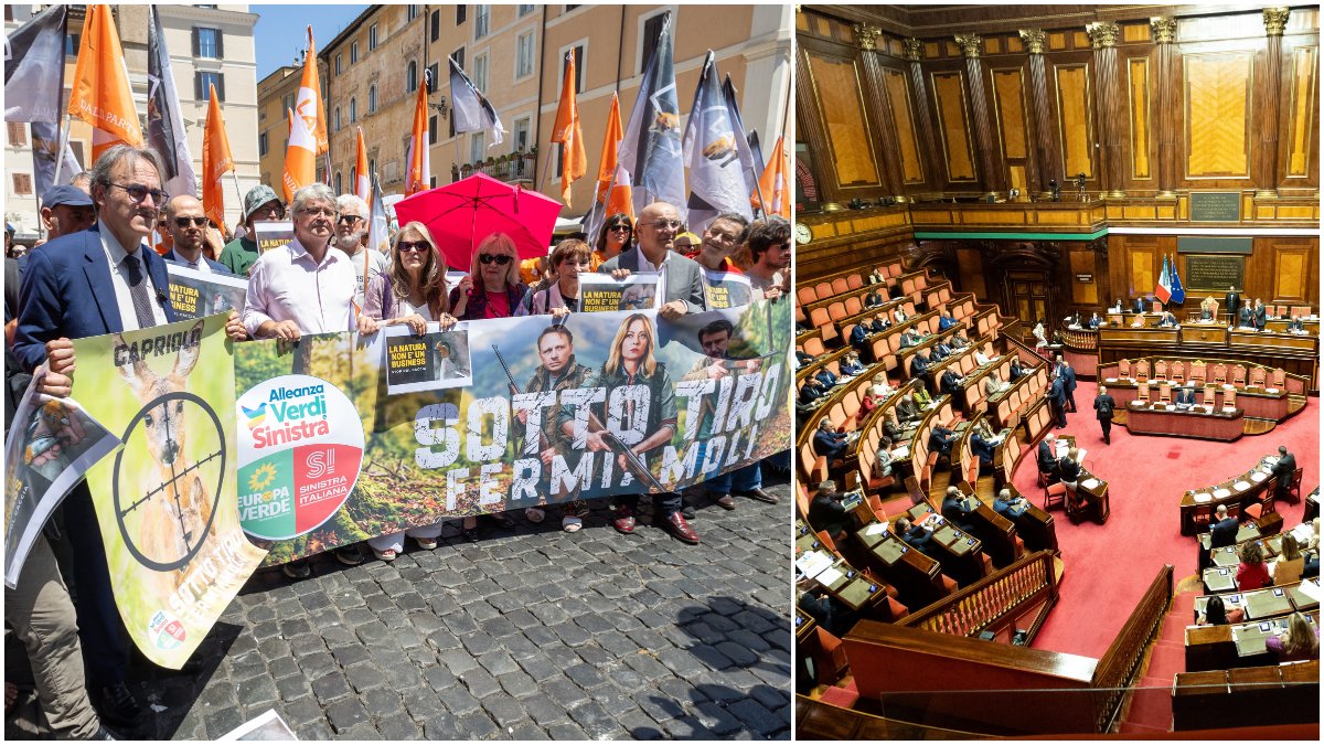 Ddl caccia, Pd e Italia viva sotto attacco per “complicità” con la maggioranza