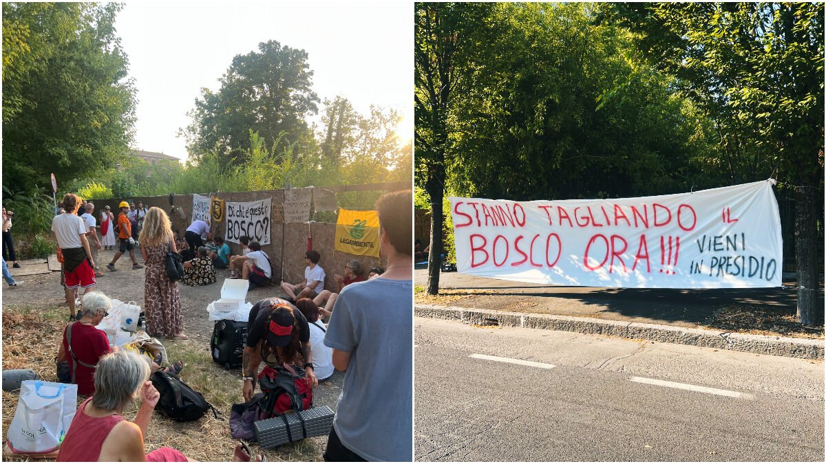 Reggio Emilia: il Bosco Ospizio in lotta, i cittadini si oppongono alla distruzione