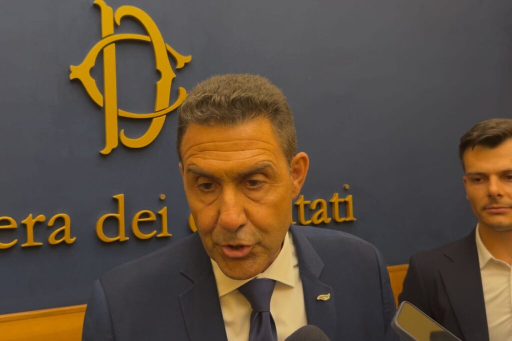 Remigrazione e rastrellamento: le proposte di Vannacci per un controllo più severo sull’immigrazione