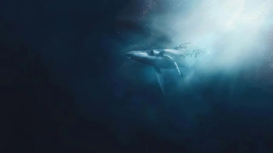 Il mare, cuore del pianeta e simbolo di speranza