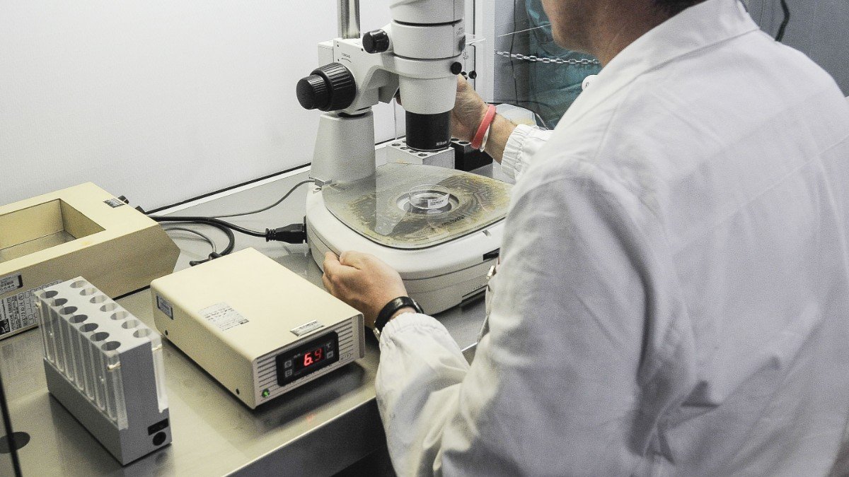 Scambio di embrioni a San Raffaele, un errore umano ha causato un trasferimento imprevisto