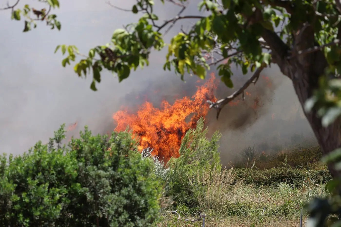 Sicilia in emergenza per gli incendi, dichiarato stato di crisi regionale