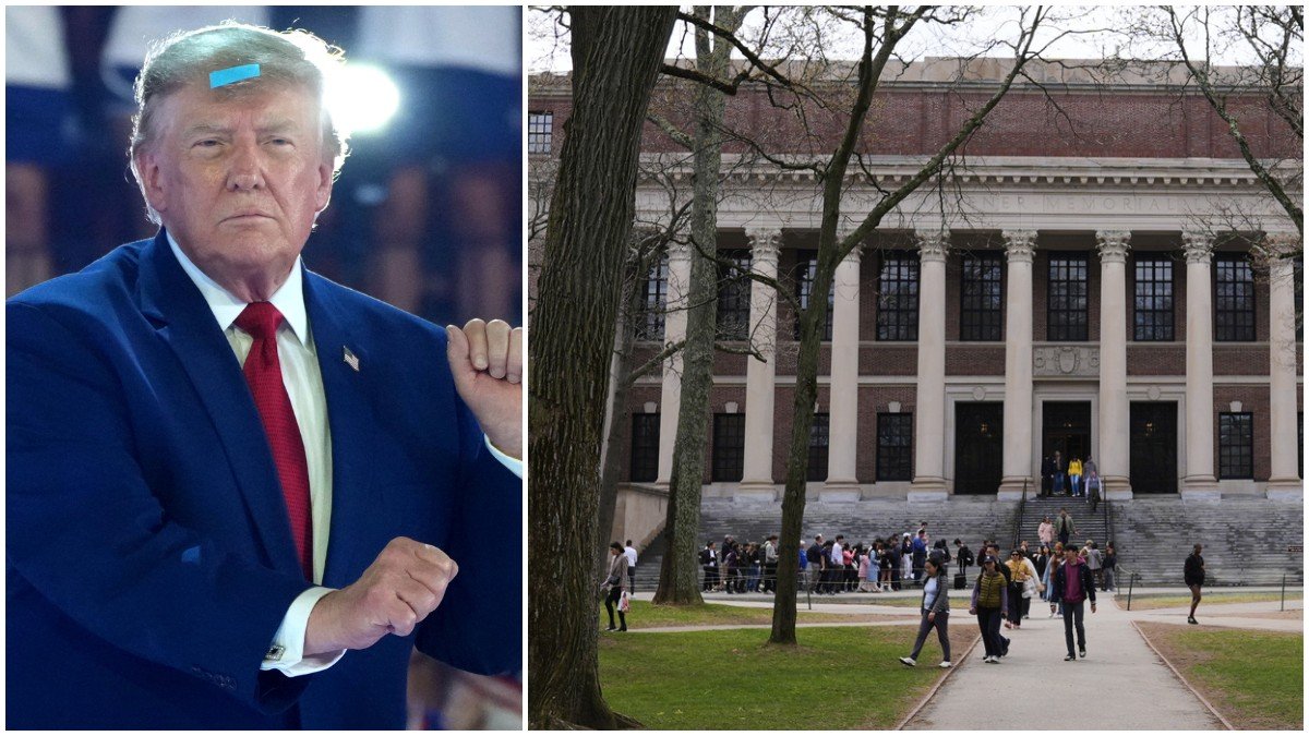 Trump sconfitto in tribunale: il Tribunale federale respinge la causa per antisemitismo contro Harvard