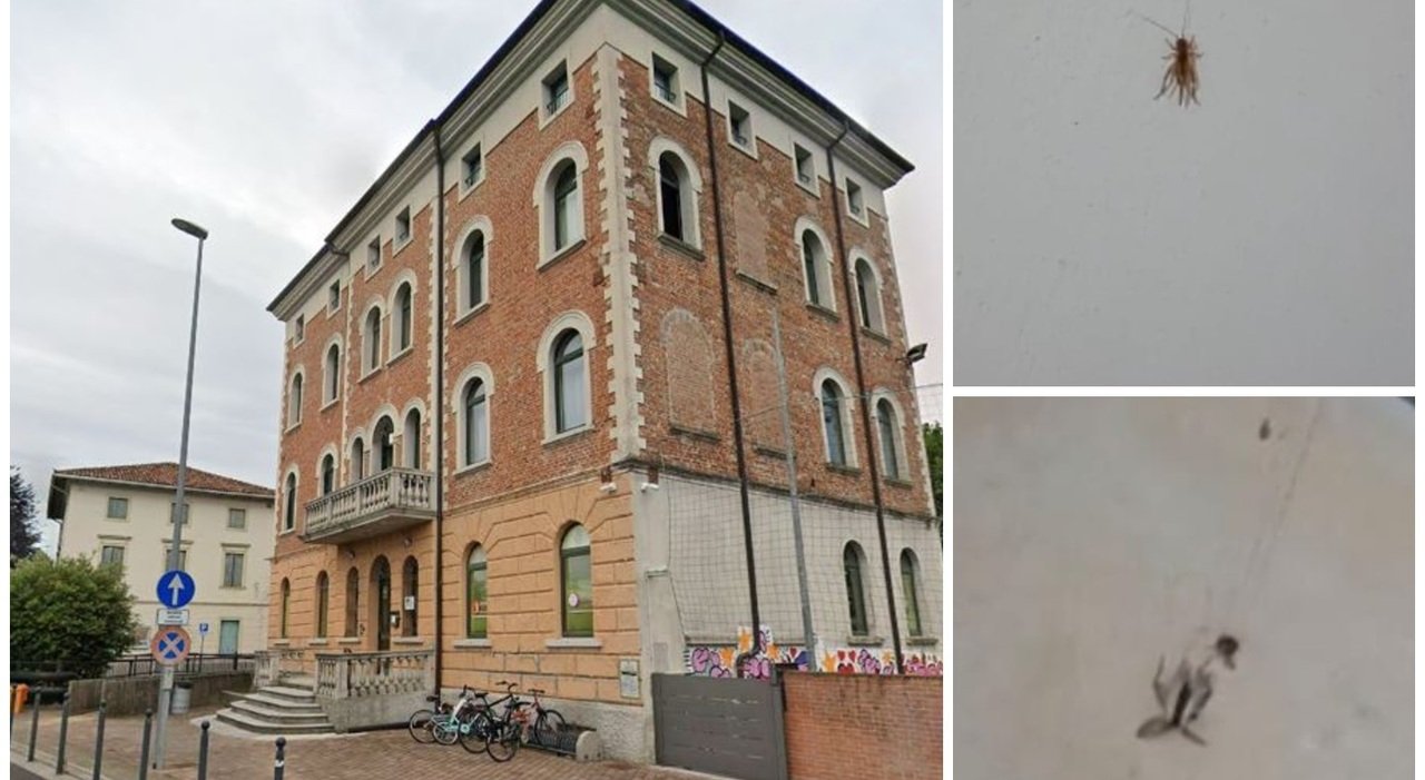 Domenico Erbaio vive in un ripostiglio di 4 metri quadrati con un affitto di 200 euro al mese