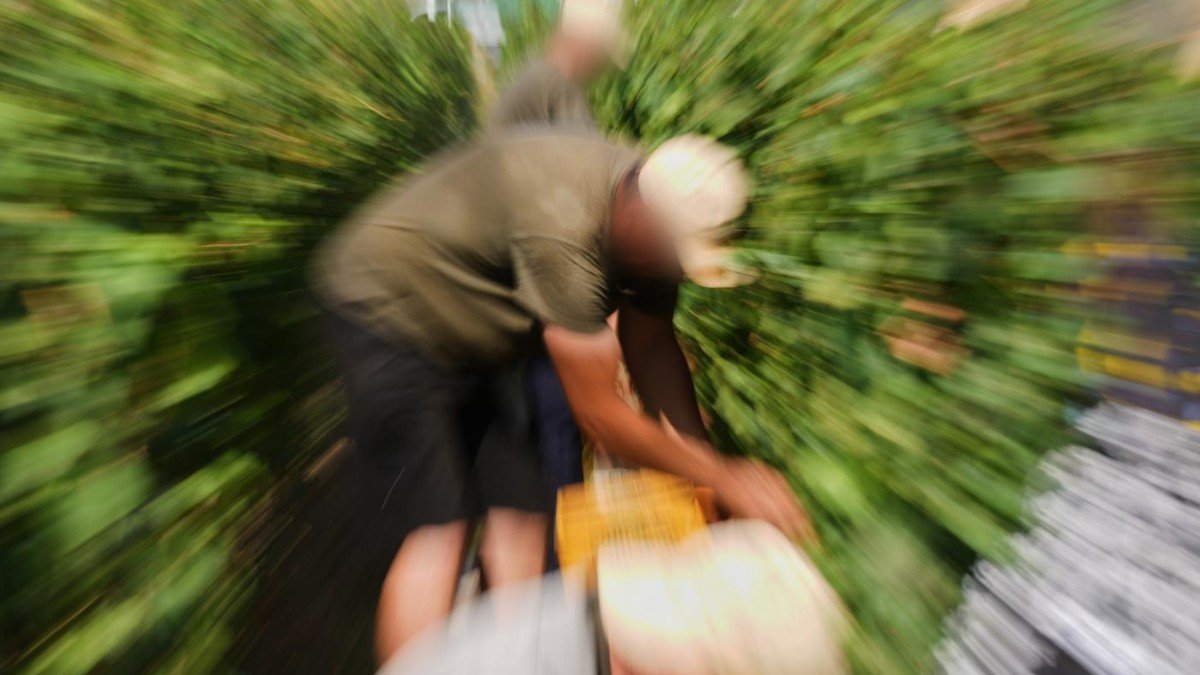 Operaio morto schiacciato da coclea in tino durante vendemmia a Monastero Bormida