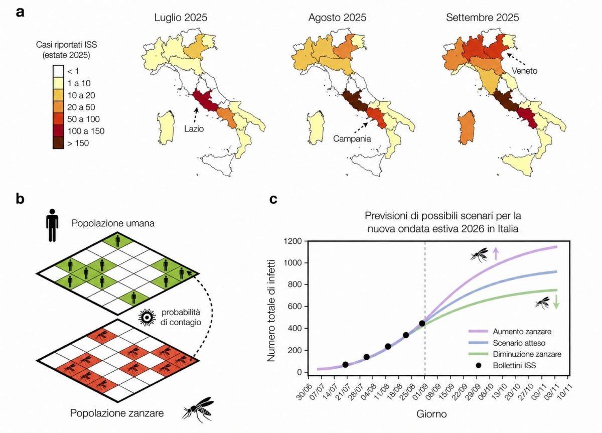 Un modello matematico per comprendere le ondate di West Nile