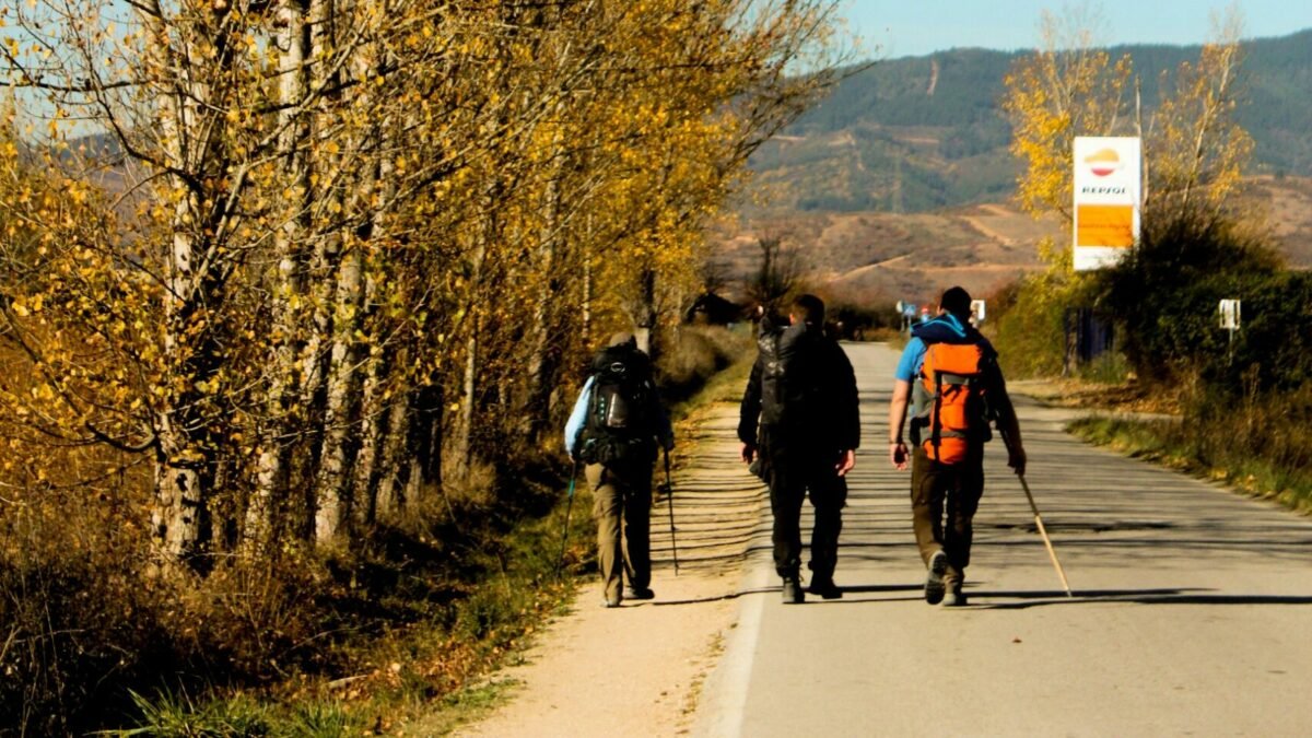 Sanzioni e sequestri per cibo scaduto e strutture irregolari lungo i cammini dell’Appennino