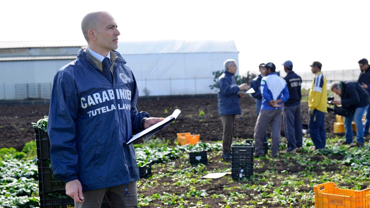 Sfruttamento e minacce nei campi calabresi: 20 arresti e paghe da 3 euro l’ora