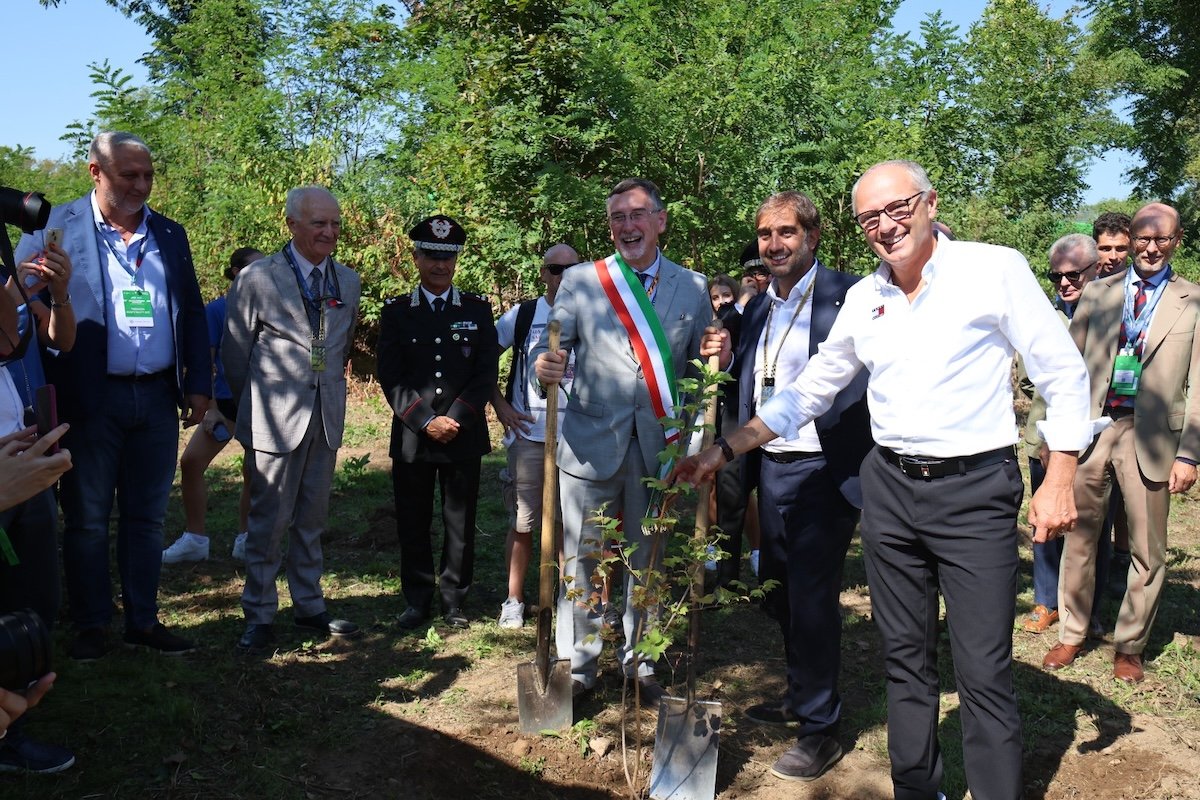 Monza, 22 nuovi alberi per il GP d’Italia 2026: cresce il Bosco dei Piloti