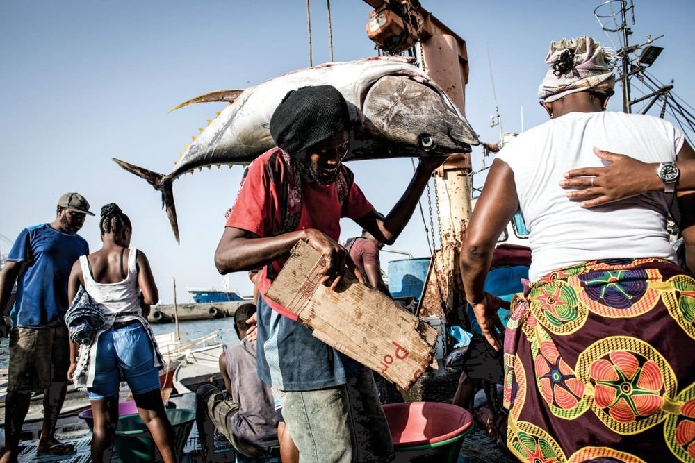 Capo Verde, i pescatori diventano guardiani del mare