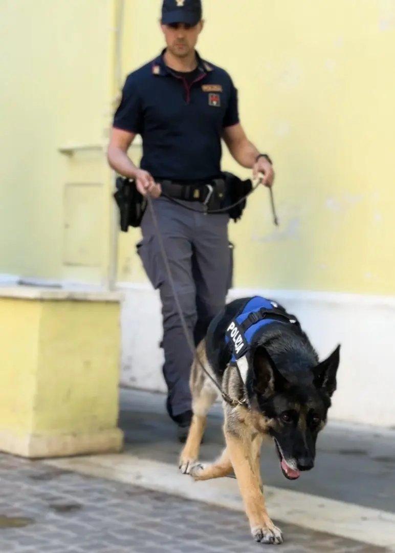 Polizia arresta 6 spacciatori a Roma, sequestrati 2 kg di droga e una pistola
