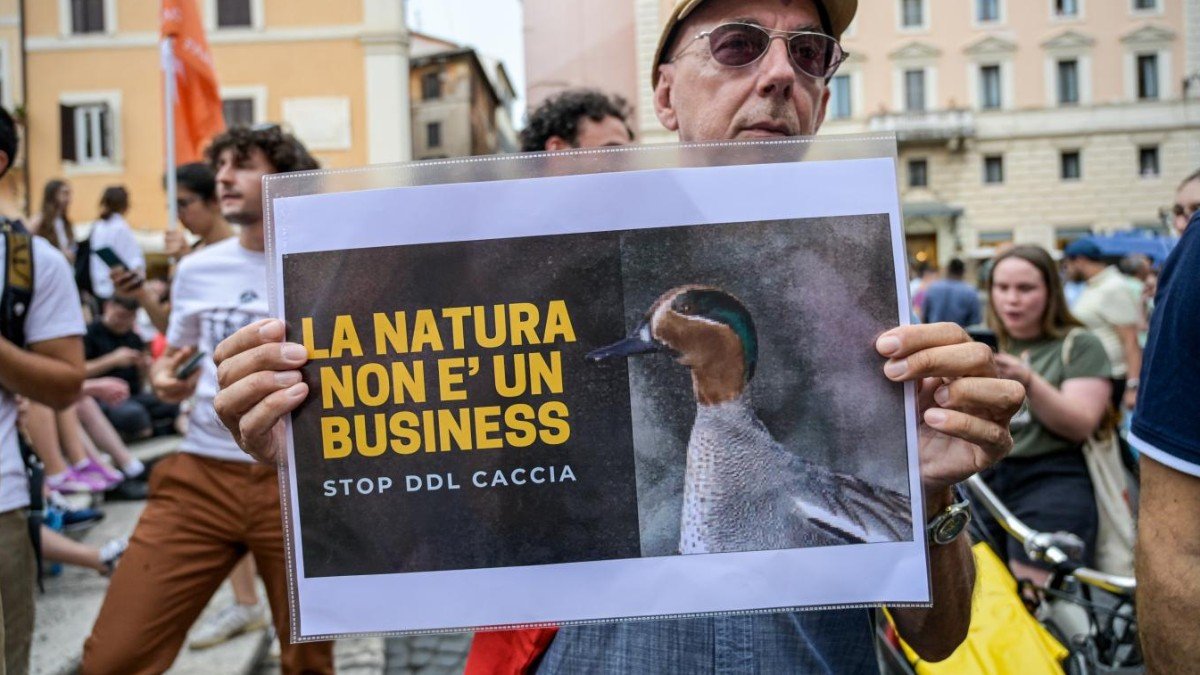 Riforma caccia, la maggioranza accelera l’approvazione: Pd, M5s e Avs condannano la mossa