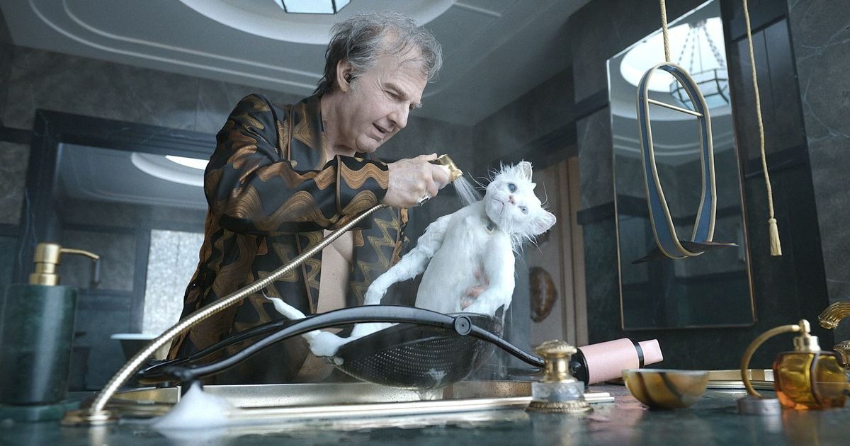 La gatta Maggie di Digger diventa simbolo emotivo per Tom Cruise