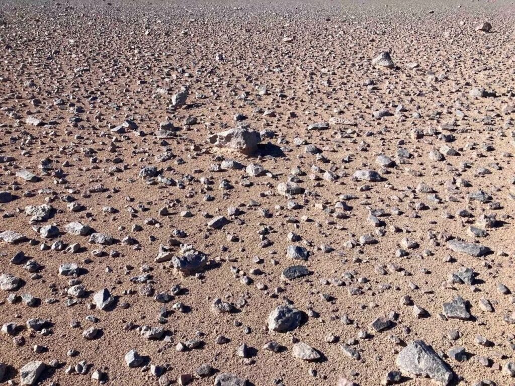 Nuova tecnica elettrica per rilevare segni di vita