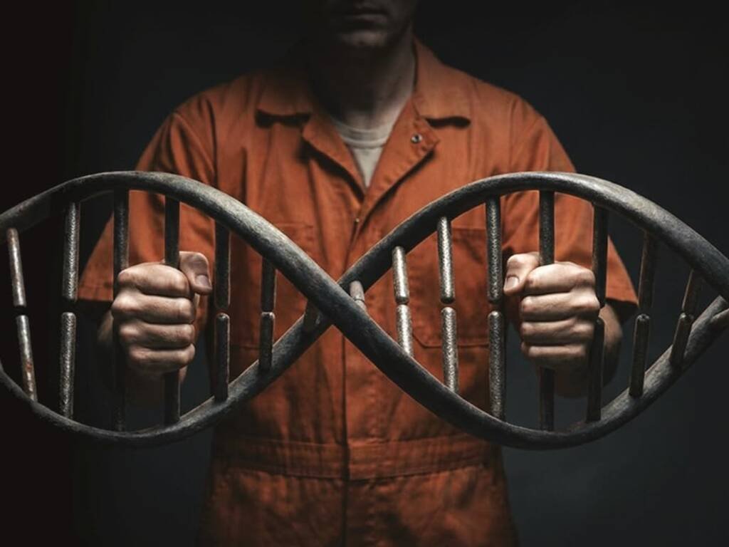 Nuovo rifiuto per le analisi della difesa di Bossetti: il Dna resta al centro del caso Yara