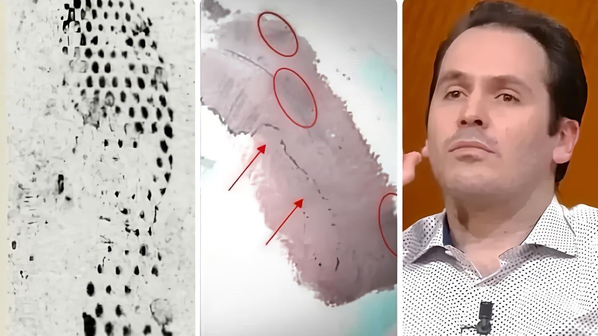 Delitto di Garlasco, le tesi opposte di accusa e difesa su telefonate, scarpe e tracce genetiche